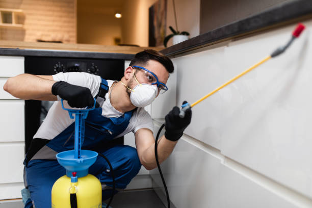 Best Bed Bug Extermination  in Liberty Hill, TX