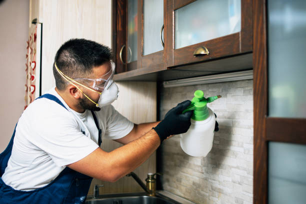Best Pest Inspection Near Me  in Liberty Hill, TX