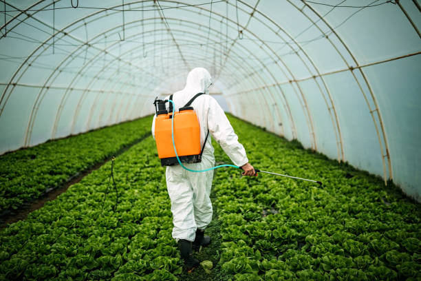 Best Pest Inspection Near Me  in Liberty Hill, TX