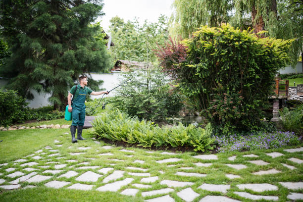 Professional Pest Control in Liberty Hill, TX