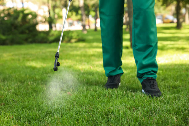 Best Emergency Pest Control  in Liberty Hill, TX