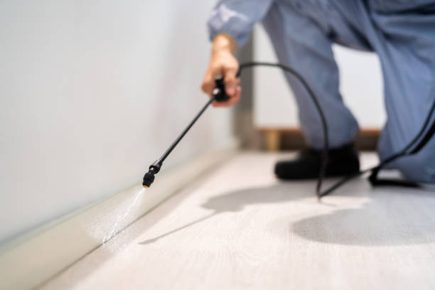 Professional Pest Control in Liberty Hill, TX
