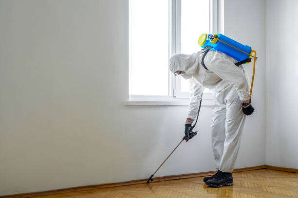 Best Pest Control Treatment  in Liberty Hill, TX