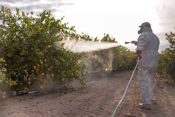 Best Pest Prevention Services  in Liberty Hill, TX