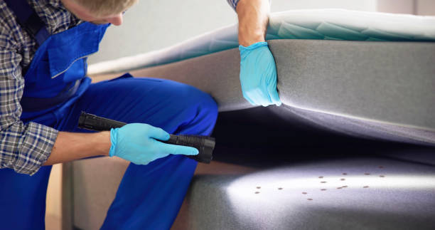 Best Pest Control Near Me  in Liberty Hill, TX