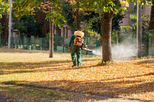 Best Affordable Pest Control Services  in Liberty Hill, TX