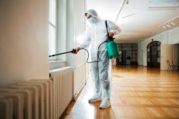 Best Termite Control Services  in Liberty Hill, TX