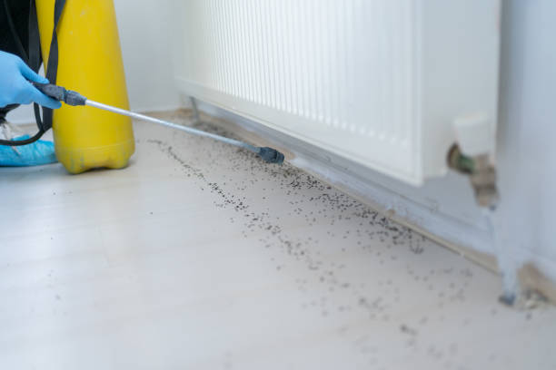 Best Bed Bug Extermination  in Liberty Hill, TX