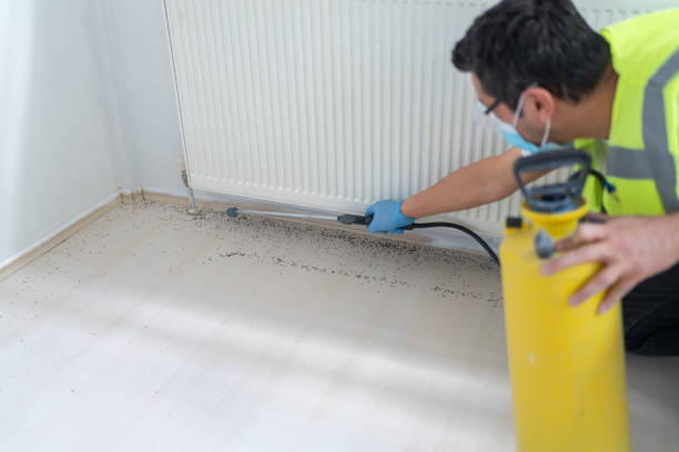 Best Affordable Pest Control Services  in Liberty Hill, TX