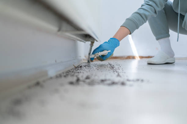 Best Residential Pest Control  in Liberty Hill, TX