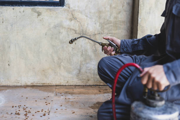 Best Commercial Pest Control Services  in Liberty Hill, TX